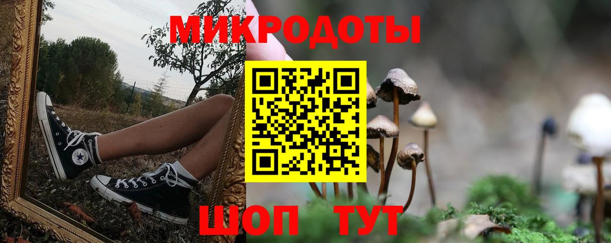 Галлюциногенные грибы Psilocybe  как найти закладки  Туймазы  Вход с VPN  Галлюциногенные грибы GOLDEN TEACHER 