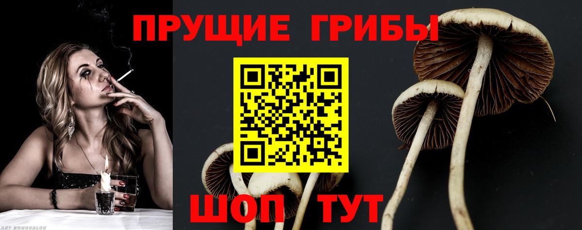 Псилоцибиновые грибы прущие грибы Туймазы